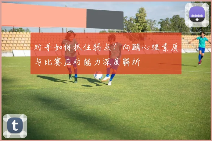 对手如何抓住弱点？向鹏心理素质与比赛应对能力深度解析