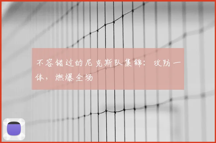 不容错过的尼克斯队集锦：攻防一体，燃爆全场