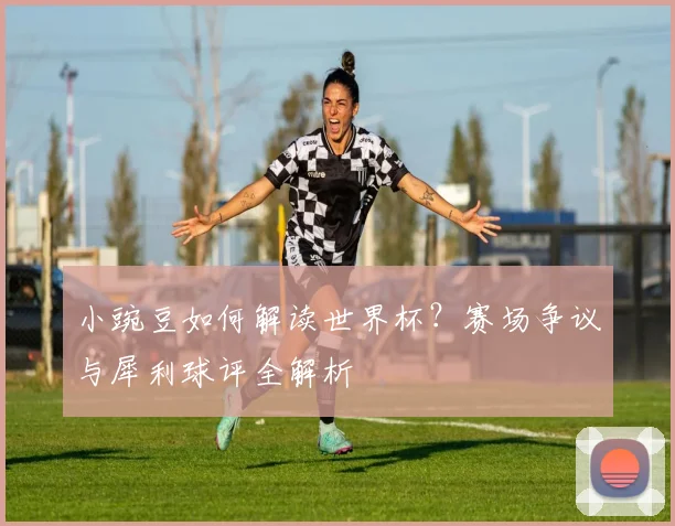 小豌豆如何解读世界杯?赛场争议与犀利球评全解析