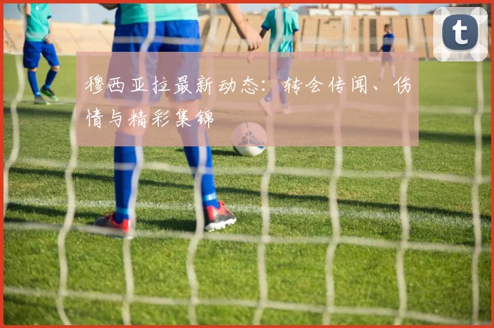 穆西亚拉最新动态：转会传闻、伤情与精彩集锦