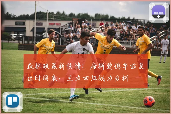 森林狼最新伤情:唐斯爱德华兹复出时间表,主力回归战力分析